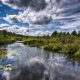 Lithuania Nature 5 - After Effects Version